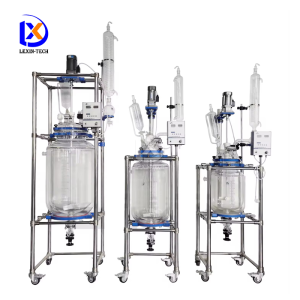 Double Glass Reactor