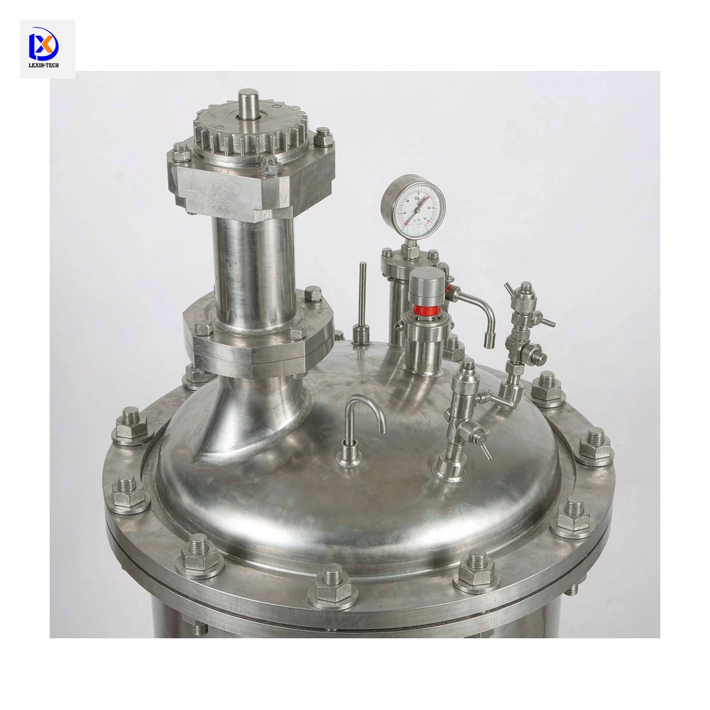 Laboratory Pressure Leaching Autoclave